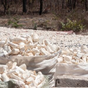 cassava, dried, farming