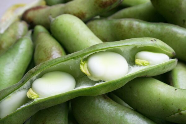 legumes, pod, vegetable