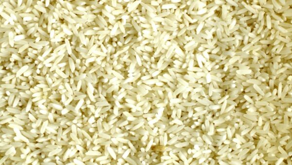 rice, grain, grains rice