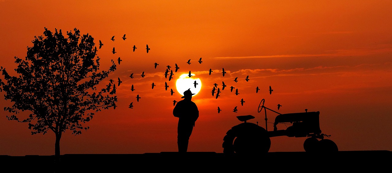 sunset, farmer, tractor